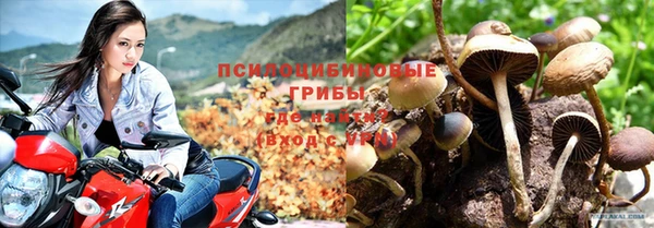 амф Богданович