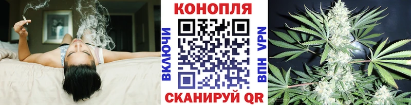 где купить наркоту  площадка телеграм  Бошки Шишки White Widow  Гремячинск  блэк спрут рабочий сайт 